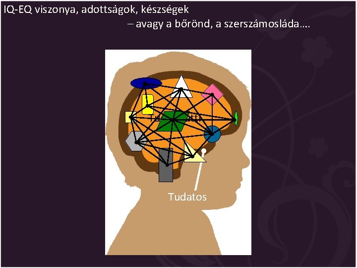 IQ-EQ viszonya, adottságok, készségek – avagy a bőrönd, a szerszámosláda…. Tudatalatti Tudatos 