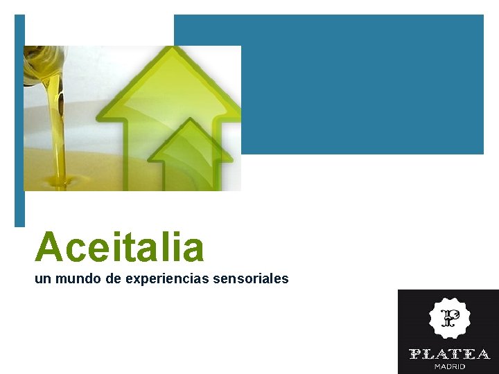 Aceitalia un mundo de experiencias sensoriales 