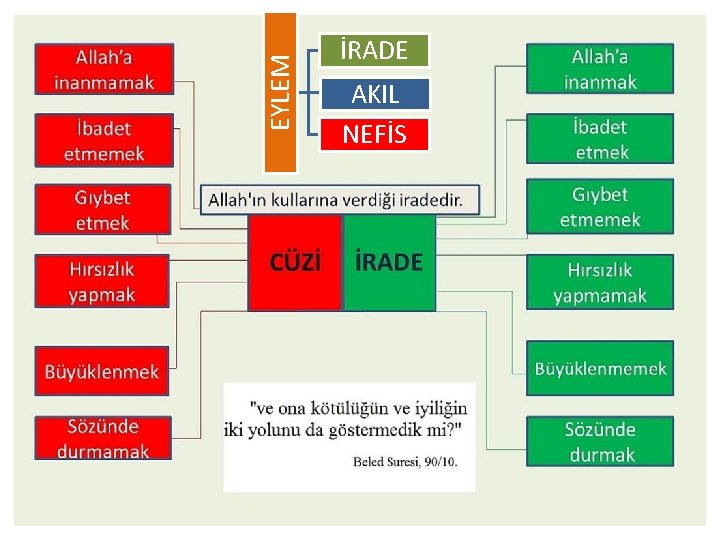 EYLEM İRADE AKIL NEFİS 