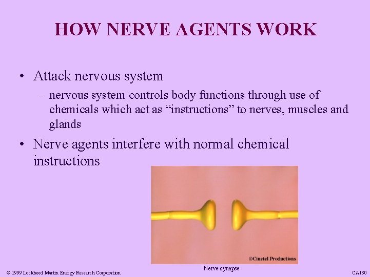 HOW NERVE AGENTS WORK • Attack nervous system – nervous system controls body functions