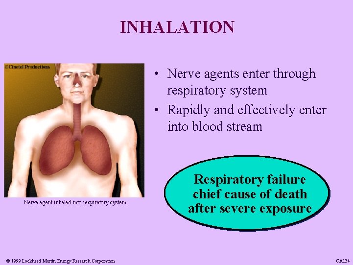 INHALATION • Nerve agents enter through respiratory system • Rapidly and effectively enter into