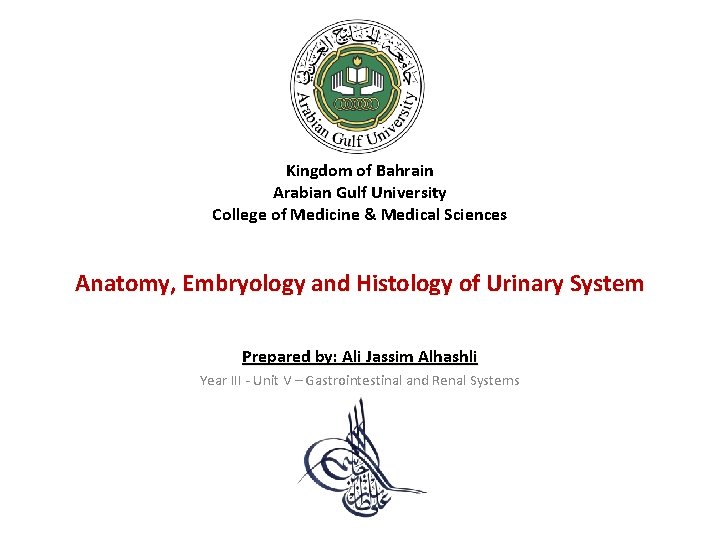 Kingdom of Bahrain Arabian Gulf University College of Medicine & Medical Sciences Anatomy, Embryology