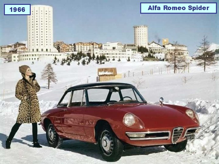 1966 Alfa Romeo Spider 