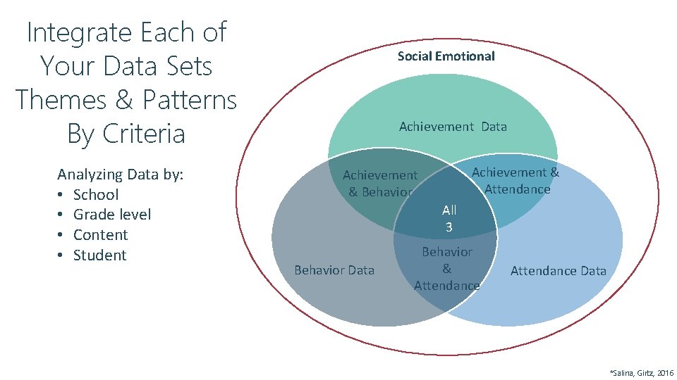 Integrate Each of Your Data Sets Themes & Patterns By Criteria Analyzing Data by: