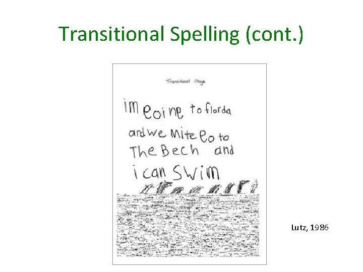 Transitional Spelling (cont. ) Lutz, 1986 