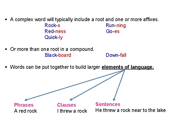 § A complex word will typically include a root and one or more affixes.