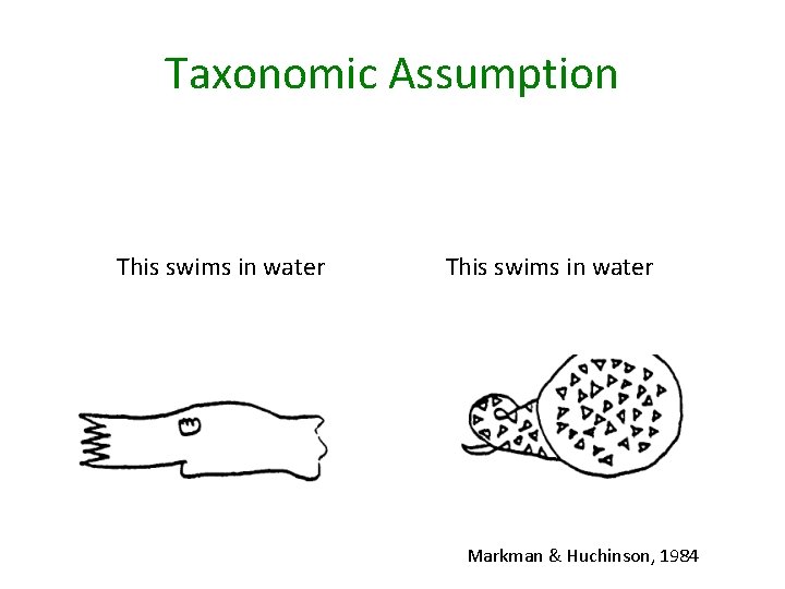 Taxonomic Assumption This swims in water Markman & Huchinson, 1984 