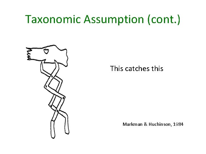Taxonomic Assumption (cont. ) This catches this Markman & Huchinson, 1984 