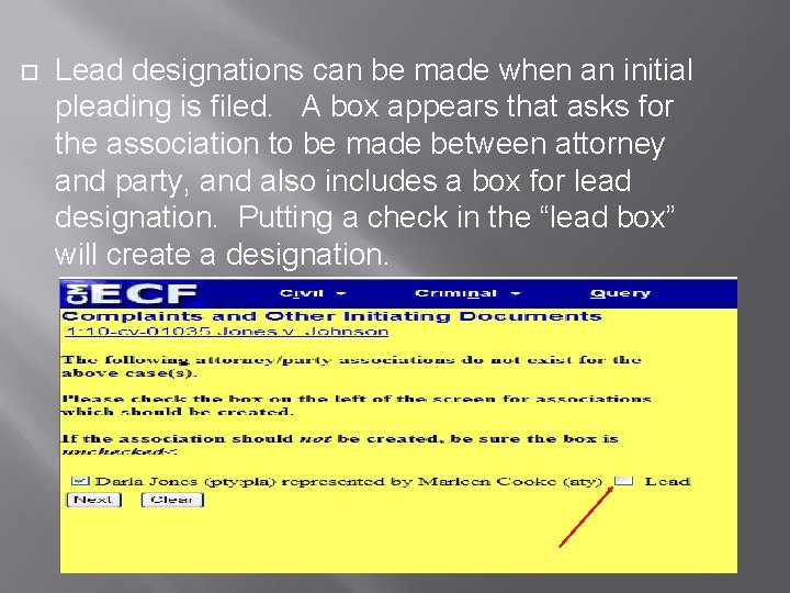  Lead designations can be made when an initial pleading is filed. A box