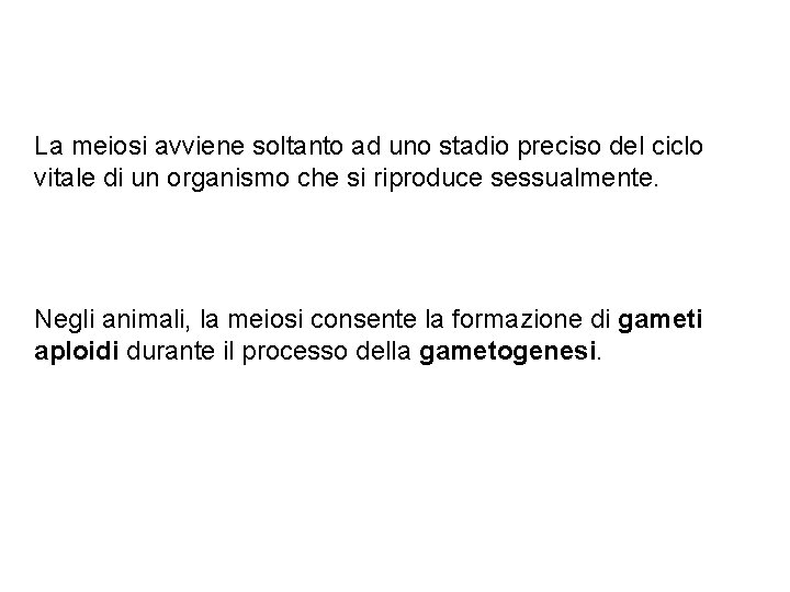 La meiosi avviene soltanto ad uno stadio preciso del ciclo vitale di un organismo