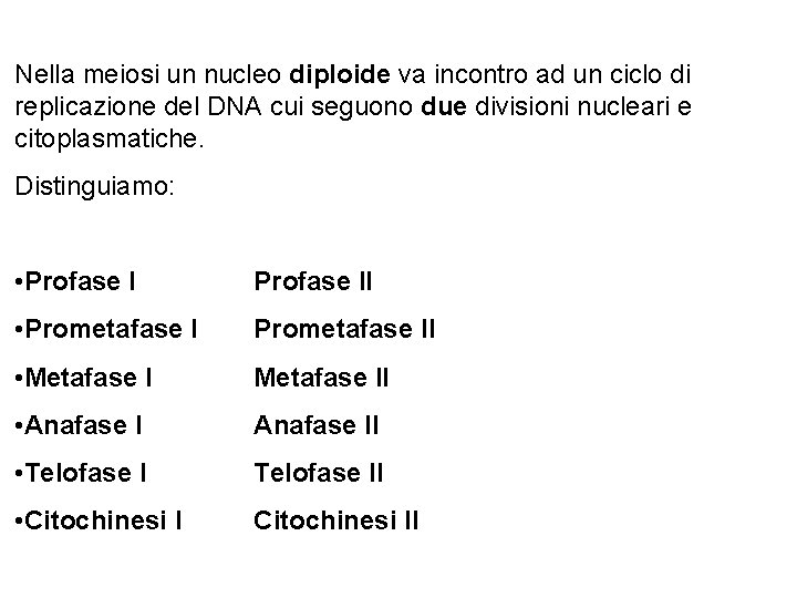 Nella meiosi un nucleo diploide va incontro ad un ciclo di replicazione del DNA