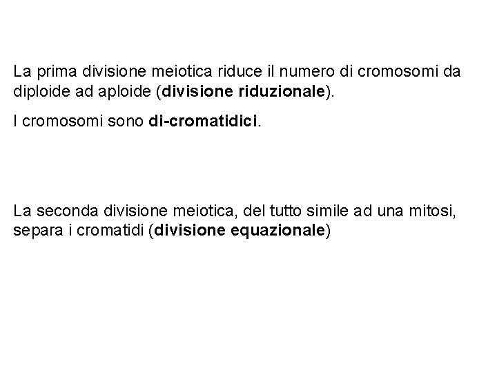 La prima divisione meiotica riduce il numero di cromosomi da diploide ad aploide (divisione