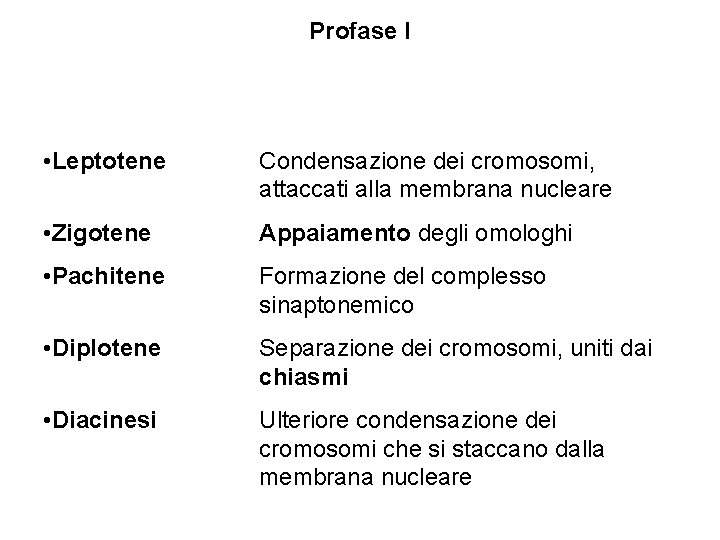 Profase I • Leptotene Condensazione dei cromosomi, attaccati alla membrana nucleare • Zigotene Appaiamento