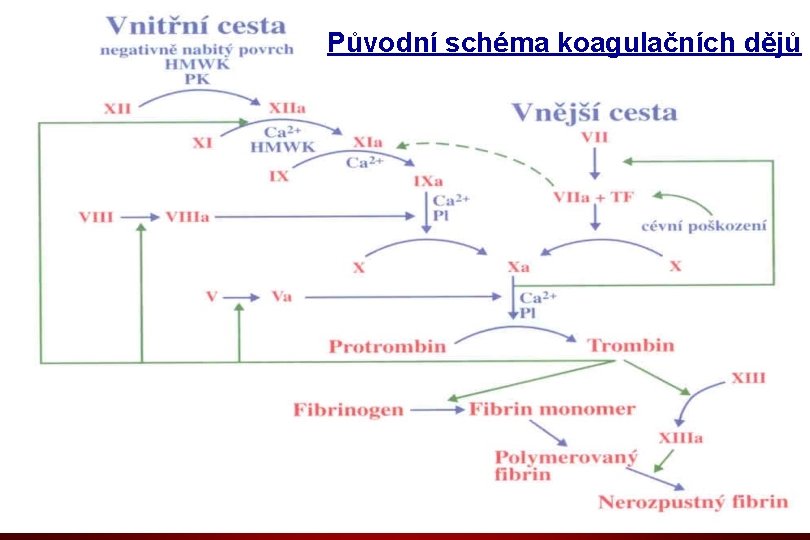 Původní schéma koagulačních dějů Původní schéma koagulačních dějů