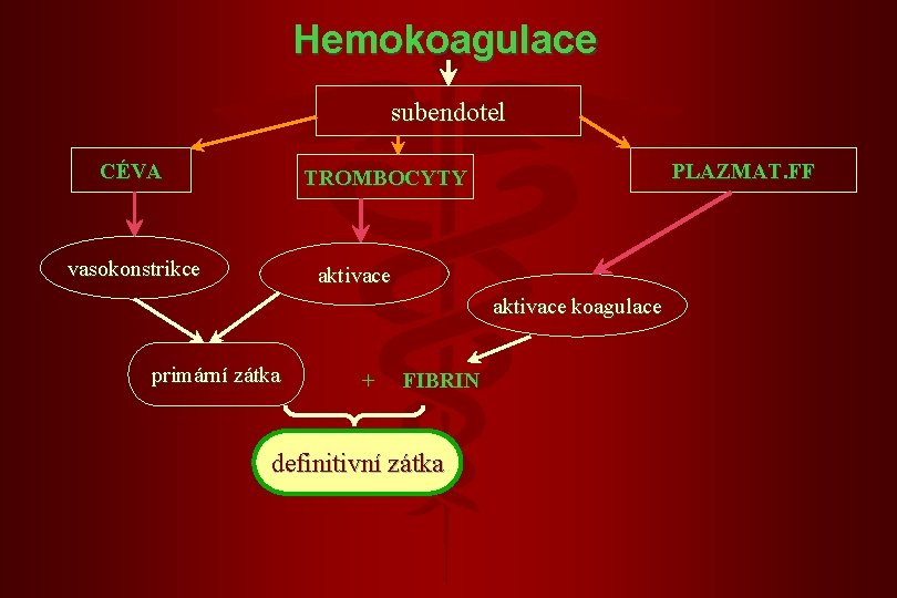 Hemokoagulace subendotel CÉVA PLAZMAT. FF TROMBOCYTY vasokonstrikce aktivace koagulace primární zátka + FIBRIN definitivní Hemokoagulace subendotel CÉVA PLAZMAT. FF TROMBOCYTY vasokonstrikce aktivace koagulace primární zátka + FIBRIN definitivní