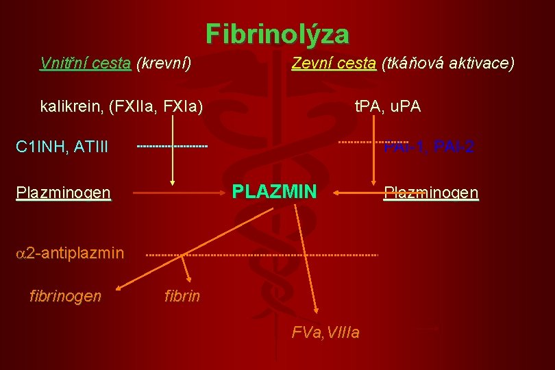 Fibrinolýza Vnitřní cesta (krevní) Zevní cesta (tkáňová aktivace) kalikrein, (FXIIa, FXIa) t. PA, u. Fibrinolýza Vnitřní cesta (krevní) Zevní cesta (tkáňová aktivace) kalikrein, (FXIIa, FXIa) t. PA, u.