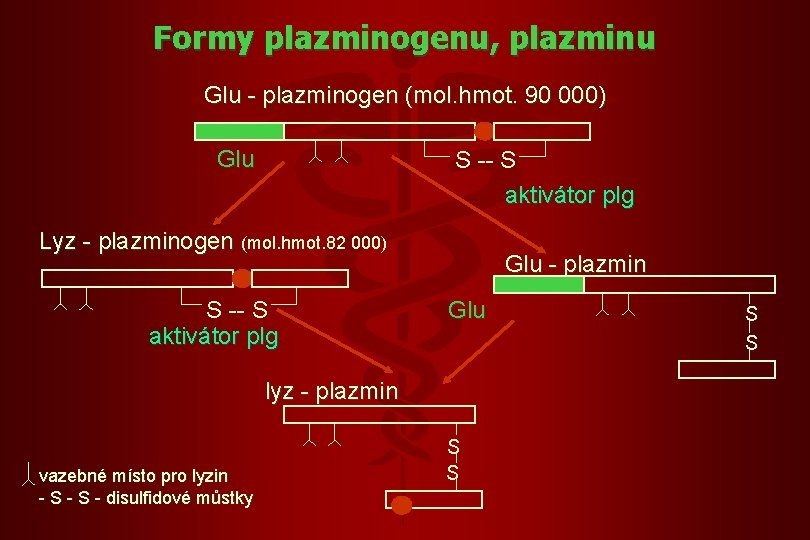 Formy plazminogenu, plazminu Glu - plazminogen (mol. hmot. 90 000) Glu S -- S