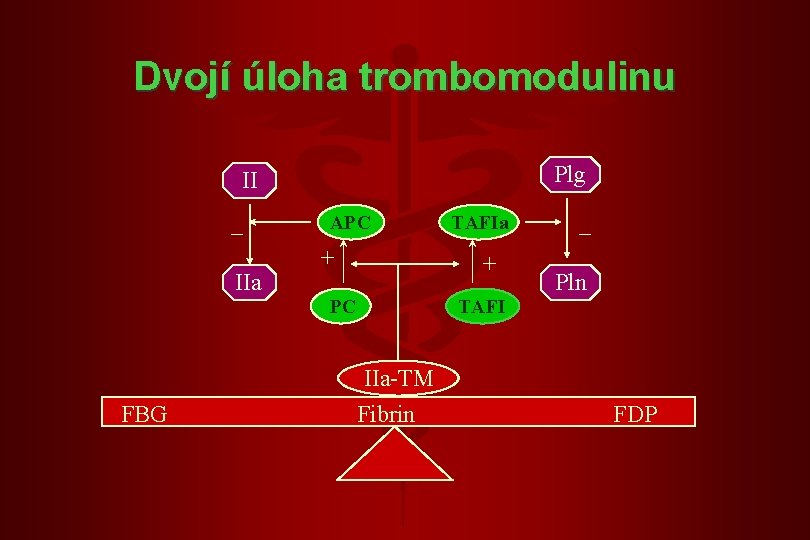 Dvojí úloha trombomodulinu Plg II _ IIa APC + + PC FBG TAFIa _