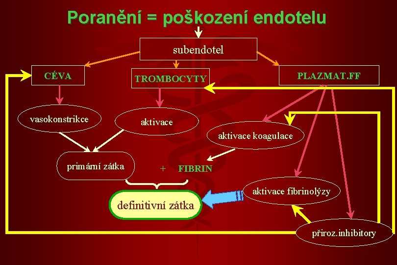 Poranění = poškození endotelu subendotel CÉVA PLAZMAT. FF TROMBOCYTY vasokonstrikce aktivace koagulace primární zátka