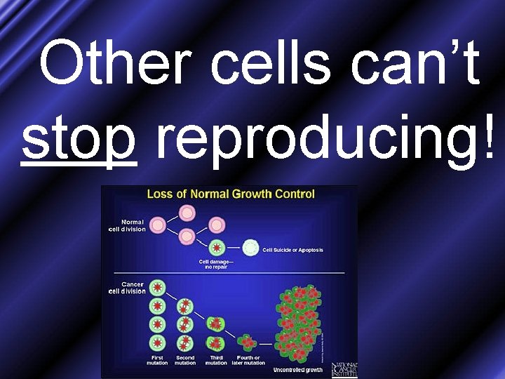 Other cells can’t stop reproducing! 