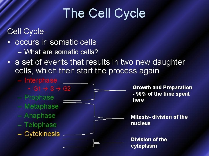 The Cell Cycle • occurs in somatic cells – What are somatic cells? •
