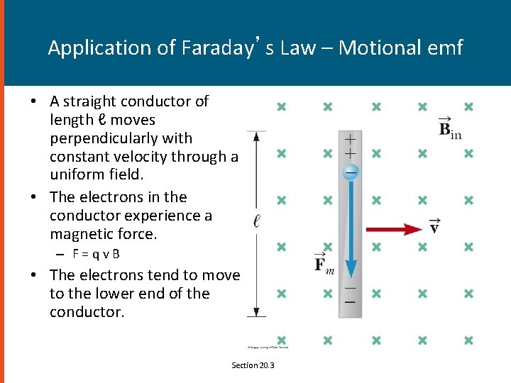 Application of Faraday’s Law – Motional emf • A straight conductor of length ℓ