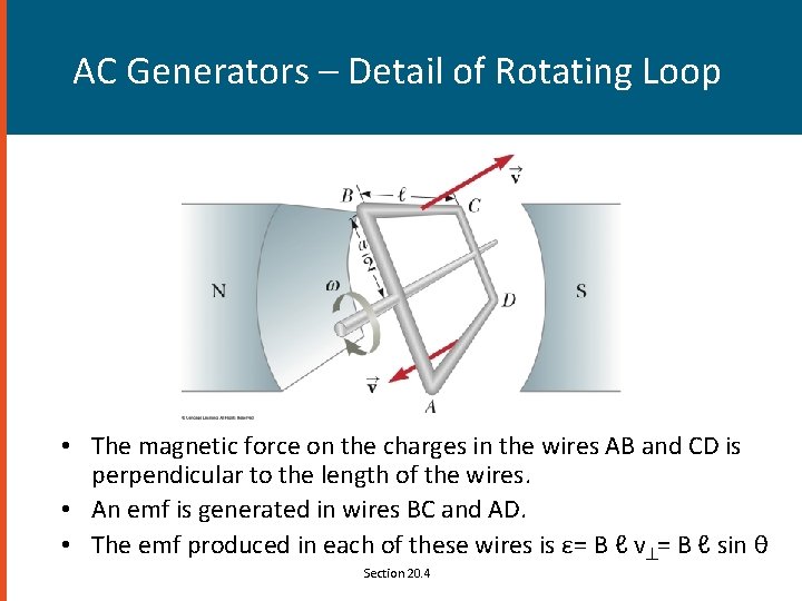 AC Generators – Detail of Rotating Loop • The magnetic force on the charges