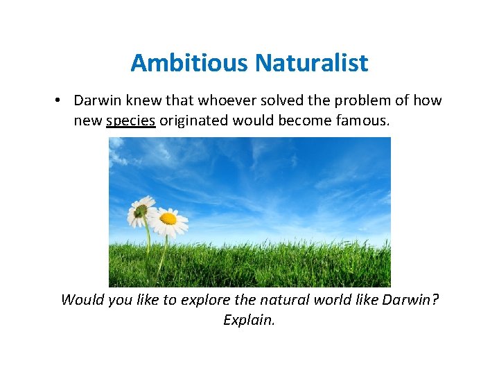 Ambitious Naturalist • Darwin knew that whoever solved the problem of how new species