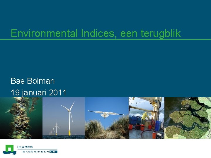 Environmental Indices, een terugblik Bas Bolman 19 januari 2011 