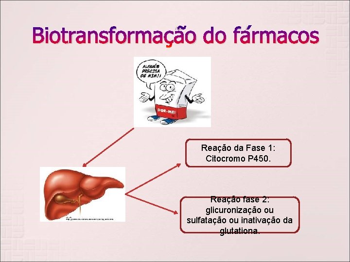 Biotransformação do fármacos Reação da Fase 1: Citocromo P 450. Reação fase 2: glicuronização