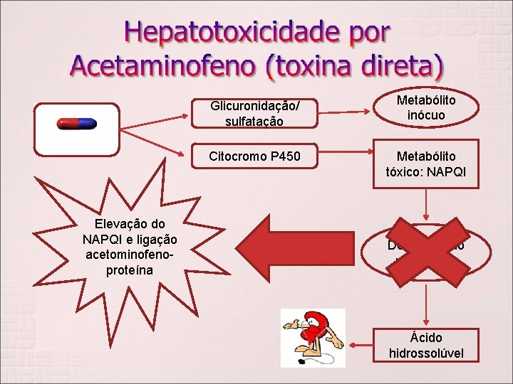 Elevação do NAPQI e ligação acetominofenoproteína Glicuronidação/ sulfatação Metabólito inócuo Citocromo P 450 Metabólito