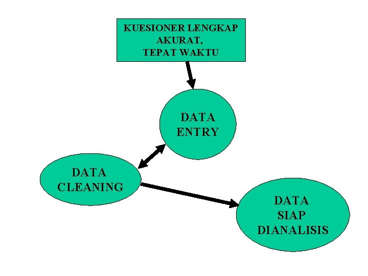 KUESIONER LENGKAP AKURAT, TEPAT WAKTU DATA ENTRY DATA CLEANING DATA SIAP DIANALISIS 