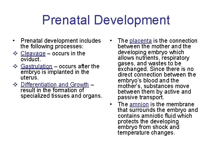 Prenatal Development • Prenatal development includes the following processes: v Cleavage – occurs in