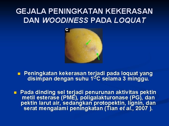 GEJALA PENINGKATAN KEKERASAN DAN WOODINESS PADA LOQUAT n n Peningkatan kekerasan terjadi pada loquat