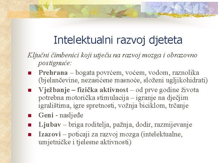 Intelektualni razvoj djeteta Ključni čimbenici koji utječu na razvoj mozga i obrazovno postignuće: n