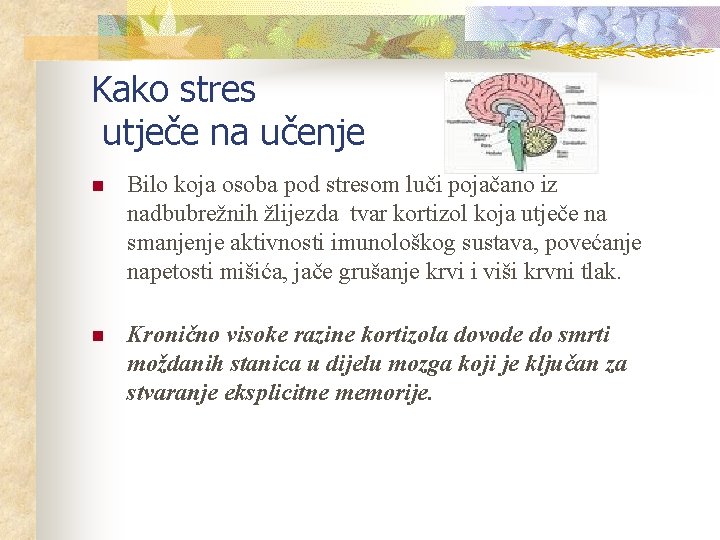 Kako stres utječe na učenje n Bilo koja osoba pod stresom luči pojačano iz