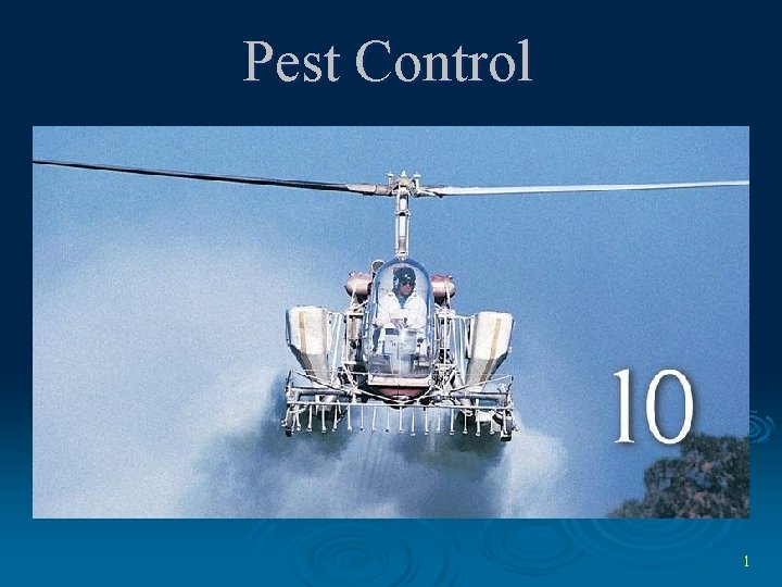 Pest Control 1 