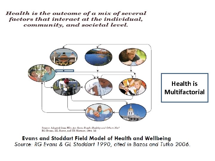 Health is Multifactorial 