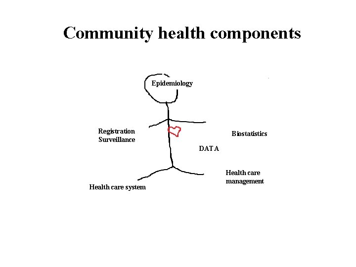 Community health components Epidemiology Registration Surveillance Biostatistics DATA Health care system Health care management