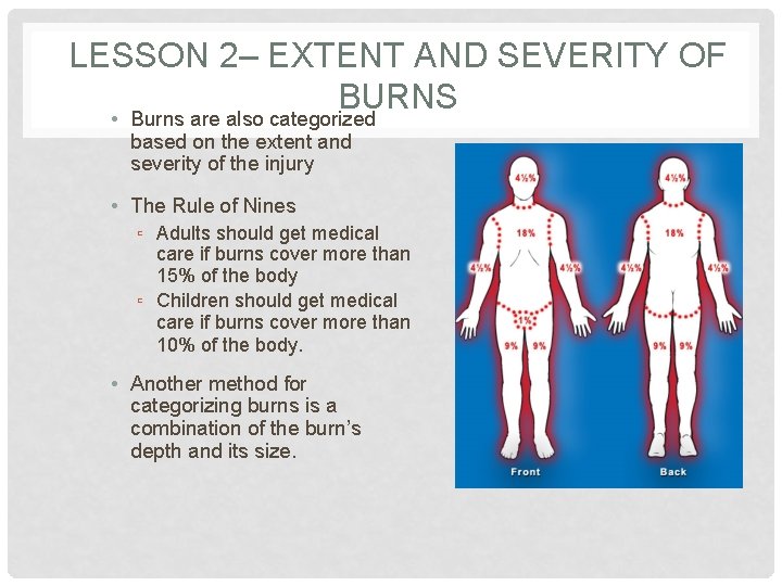 LESSON 2– EXTENT AND SEVERITY OF BURNS • Burns are also categorized based on