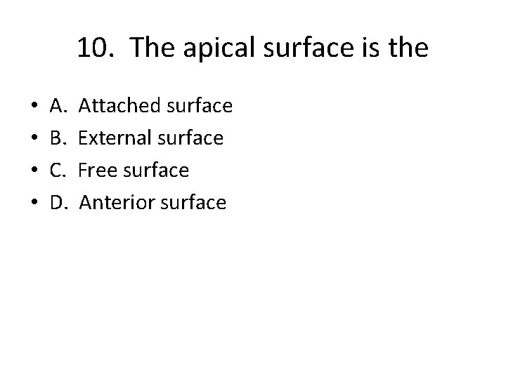 10. The apical surface is the • • A. B. C. D. Attached surface