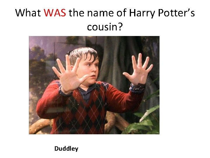 What WAS the name of Harry Potter’s cousin? Duddley 