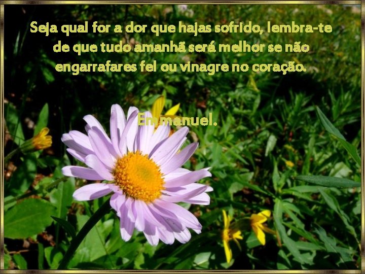 Seja qual for a dor que hajas sofrido, lembra-te de que tudo amanhã será