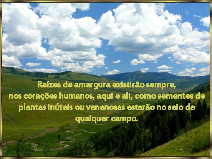Raízes de amargura existirão sempre, nos corações humanos, aqui e ali, como sementes de