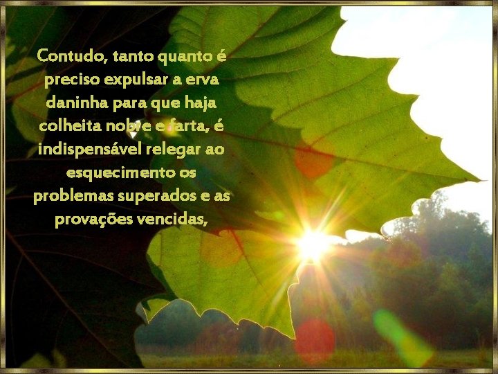 Contudo, tanto quanto é preciso expulsar a erva daninha para que haja colheita nobre