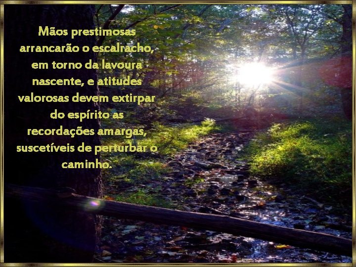 Mãos prestimosas arrancarão o escalracho, em torno da lavoura nascente, e atitudes valorosas devem