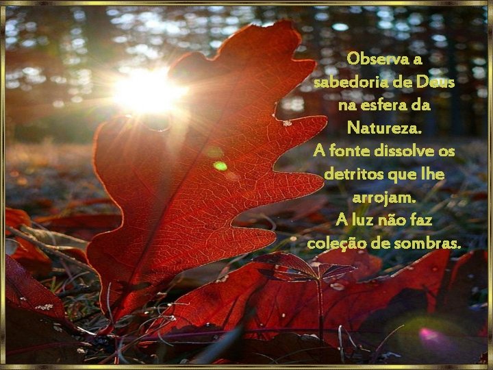 Observa a sabedoria de Deus na esfera da Natureza. A fonte dissolve os detritos