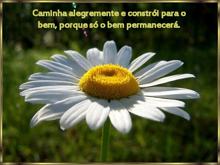 Caminha alegremente e constrói para o bem, porque só o bem permanecerá. 