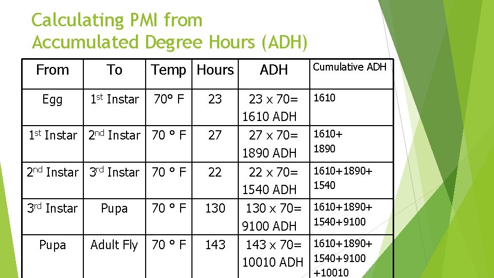 Calculating PMI from Accumulated Degree Hours (ADH) From To Egg 1 st Instar Temp