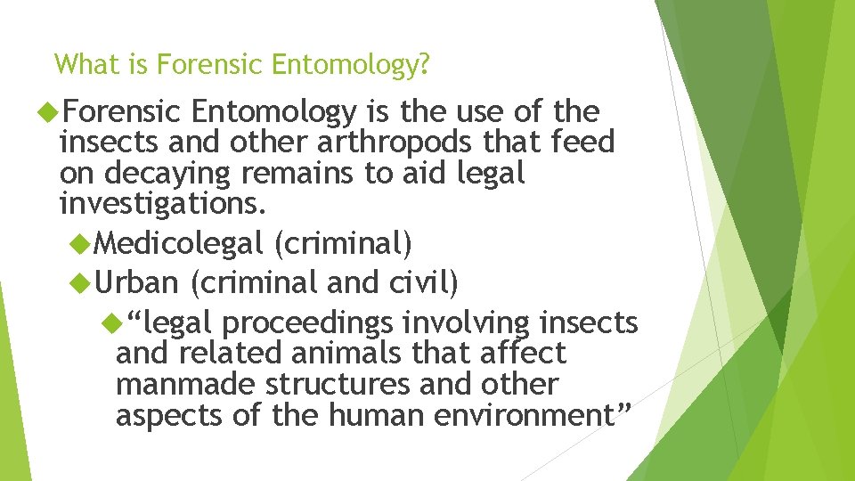 What is Forensic Entomology? Forensic Entomology is the use of the insects and other